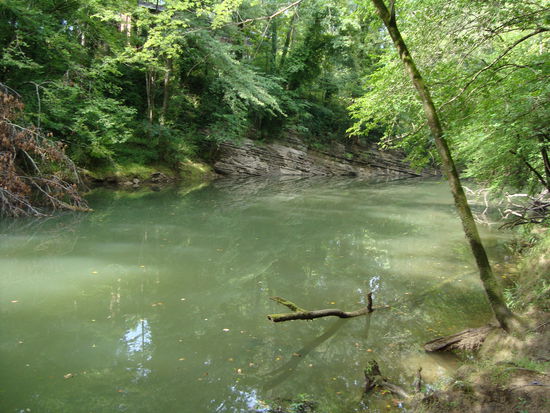 Chickamauga Creek