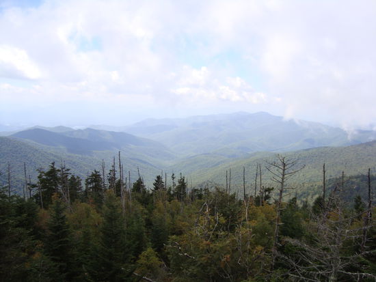 Blick vom Clingmans Dome, dem höchsten Gipfel der Smokies. Ein trauriges, typisches Bild sind die vielen toten Bäume...