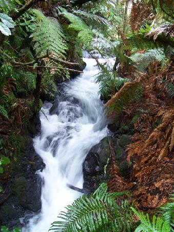 Ein kleinerer Wasserfall im Wald beim Burried Village, ein Dorf das vor ein paar hundert Jahren beim Vulkanausbruch unter Lava versank und nun wieder ausgebudelt wurde (war nicht so interessant).
