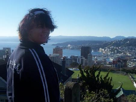 Aussicht ueber Wellington