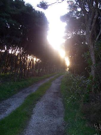 Das ist der Weg den wir uebersehen haben, bzw der innerhalb einer Stunde hinter unserem Ruecken gebaut wurde...