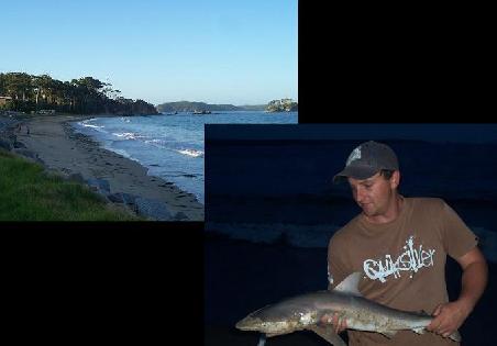 An dem Strand da oben wollten wir erst baden, haben wir dann aber nicht, weil es zu kalt wurde. Na ein Glueck, abends zog der Angler am Strand einen Hai raus... er sagte, es gibt da mehrere von, aber nur so kleine... na wir habens nicht ueberprueft