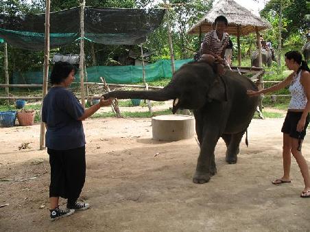 Dumbo und zwei Joes (der Elefant is in der Mitte).