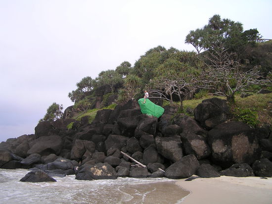 Auf biologischer Entdeckungstour...es gab die berühmten Riesenfrösche der australischen Ostküste zu bestaunen!