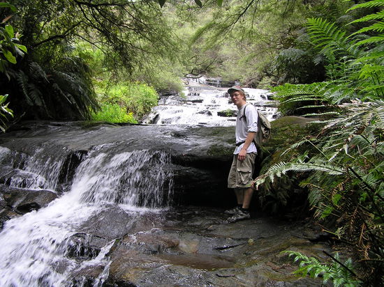 Da kommt schon etwas Regenwald Feeling auf