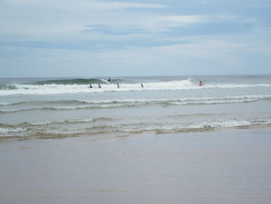 Nur essen hat keinem außer mir Spaß gemacht, also haben sich alle anderen Surfbretter ausgeliehen.