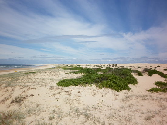 Leider reichen Bilder mal wieder nicht aus, aber ich denke sie vermitteln eine recht ausreichende Vorstellung...es war einfach nur bombastisch!