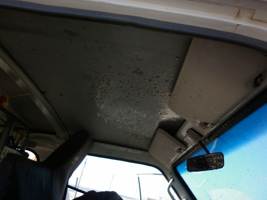 Das Foto macht das Ausmaß nicht wirklich deutlich...