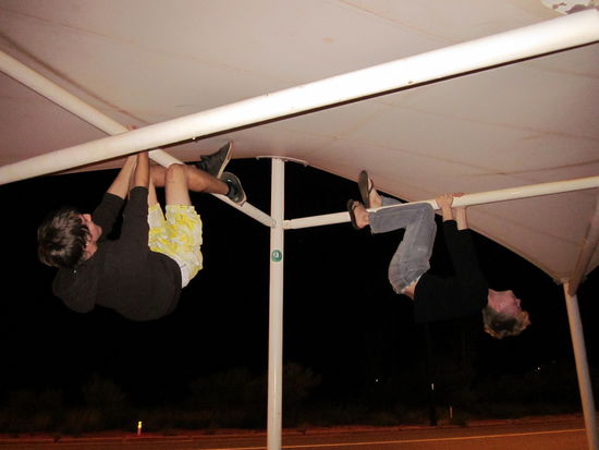 Koalas an der Bushaltestelle, was man nicht alles sehen kann in der Wüste!