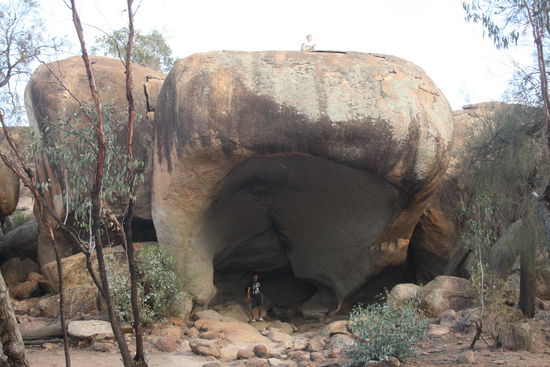 Diese Hippomaul gabs auch noch zu bestaunen.