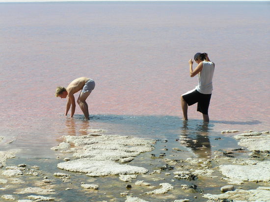 Auf der Salzschicht fühlen sich die Carotin-produzierenden Algen besonders wohl. Von den Algen leben Bakterien, dessen bläuliche Farbe mit dem Rot der Algen Pink ergibt. Dazu müssen aber Wassertemperatur, Salzgehalt,... perfekt abgestimmt sein, deswegen ist dieser Teil des Sees, im Vergleich zum Vorherigen, nicht so pink. Es hat auch übel gestunken und weh getan, denn das getrocknete Salz war nicht gerade Balsam für die Füße, zumal man dauernd eingebrochen ist.