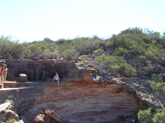 Im Schatten gab es keine Fliegen