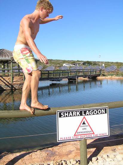 Die Haie waren mit 1m Länge etwas klein. Mal sehen wie groß die Zähne sind 