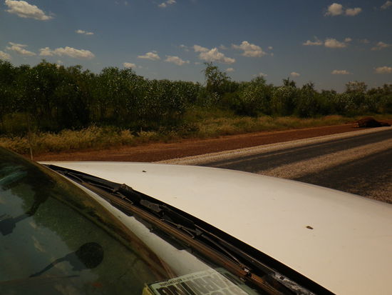 So wie diese Kuh oben rechts im Bild...schon grausig