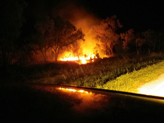 Wenn man dann mal angehalten hat und auf das Knacken und Krachen im Wald gehört hat wurde einem schon ein bisschen mulmig zu Mute.