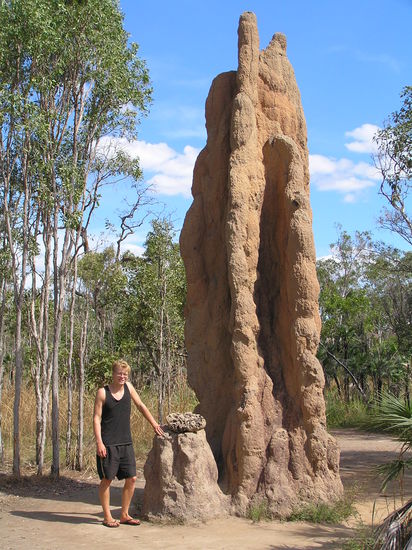 Die erste Attraktion im Litchfield National Park waren diese riesigen Termitenhügel.