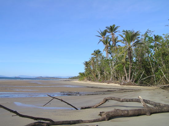 Hier macht der Morgenspaziergang Spaß.
