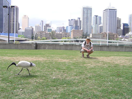 Ibis und Konrad am Brisbane River