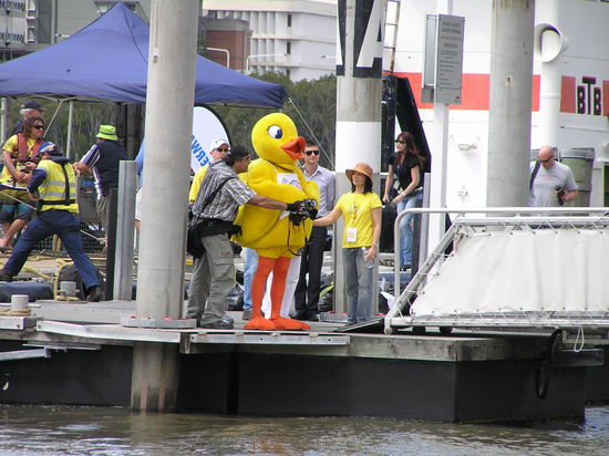die wohl schönste ente