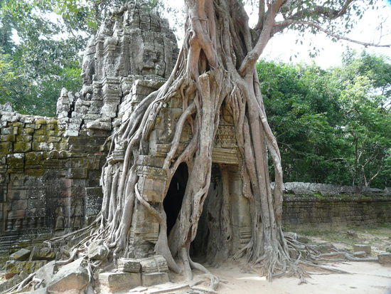 Preah Khan, nicht so bekannt wie der "Tomb Raider Tempel"aber genauso schoen