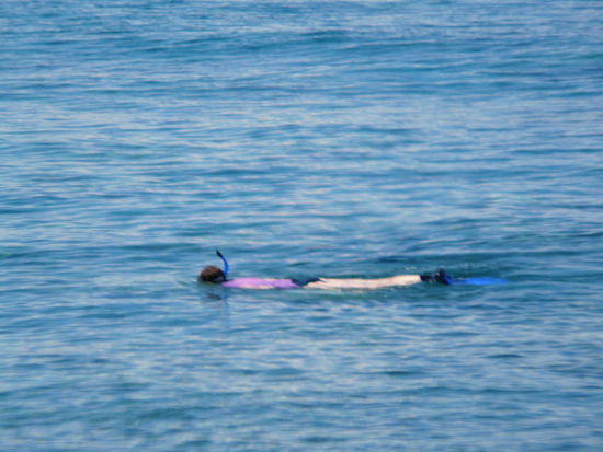 Finde Nemo oder auch schlechtes Versteck 
Das Bild muss leicht verschwommen sein, sonst waer es kein schlechtes Versteck!!!!