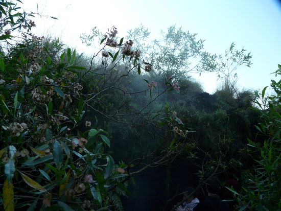 Er zeigt was in ihm steckt.... Schwefeldampf!