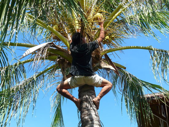 Nachmittags-Entertainment