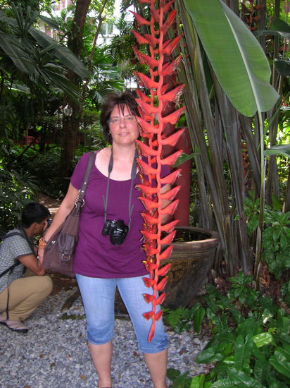 Blueten gross wie Menschen. Der Jim hatte echt nen schoenen Garten.