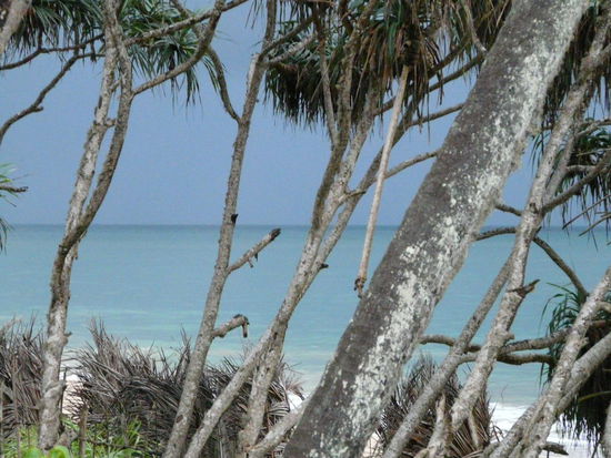 Strandansichten kurz vor dem Gewitter