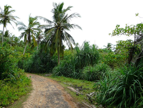 Auf dem Weg zur Lagune