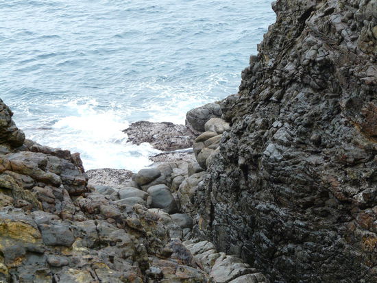 Blow Hole...leider ohne Fontaine