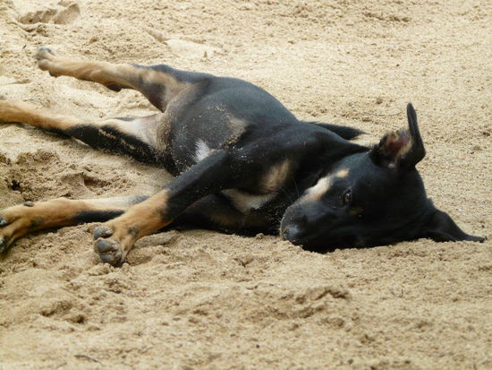 Urmel die kleine Wühlmaus und Flip-Flopdiebin