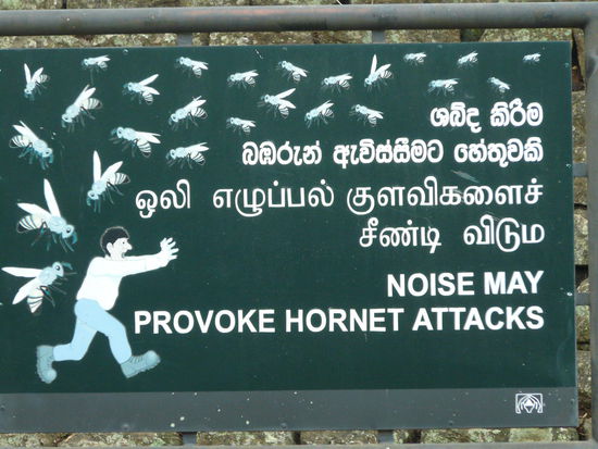 Immer schön leise... kein Spass!!