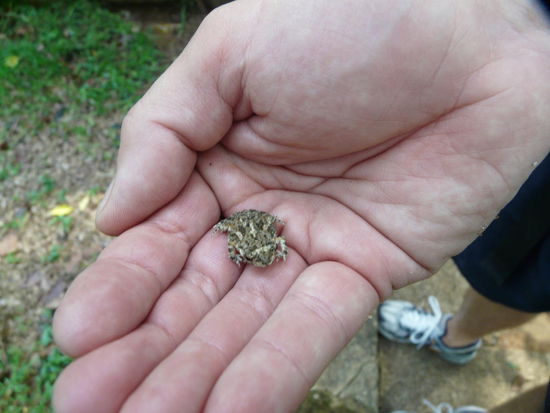 Und immer an's Karma denken. Die gute Tat des Tages 