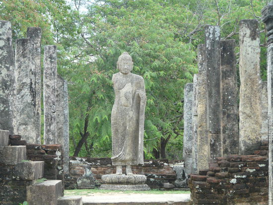 sonst zürnen die Götter.....