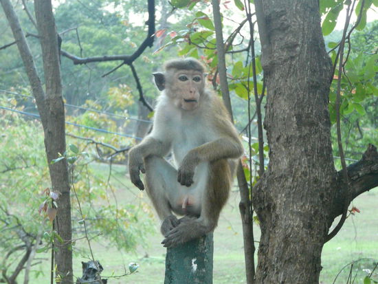 Und ER staunt nur!!!!