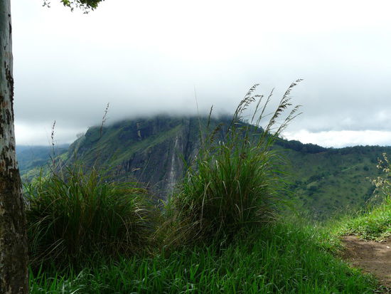 Aussicht bauf Ella Gap... eigentlich....
