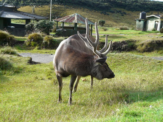 Für die Touries Fotowirksam am Parkplatz postiert 