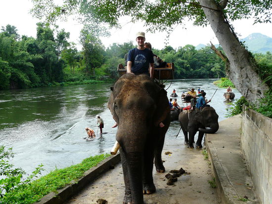 Elefantenreiten.... yuuhuuu