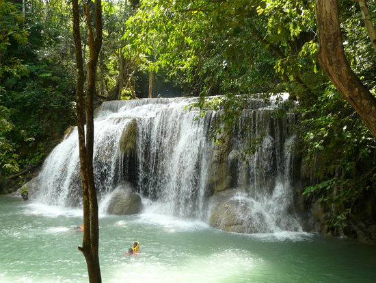 Schwimmen mit den Raubfischen....