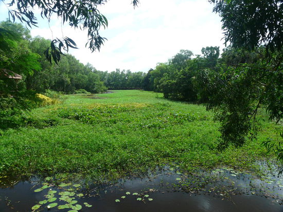 In diesem See befinden sich noch ungeöffnete Massengräber