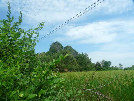 Wir nähern uns unserem Ziel. Die Höhlen von Kampong Trach