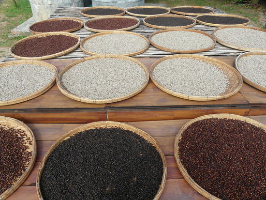 Schwarz, Rot, Weiß... wir wissen jetzt alles...