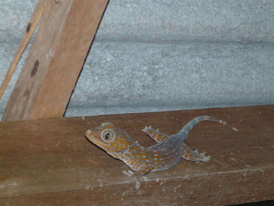 Und er schaut, ob ich auch alles richtig mache...