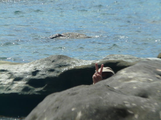 Schlechtes Versteck...