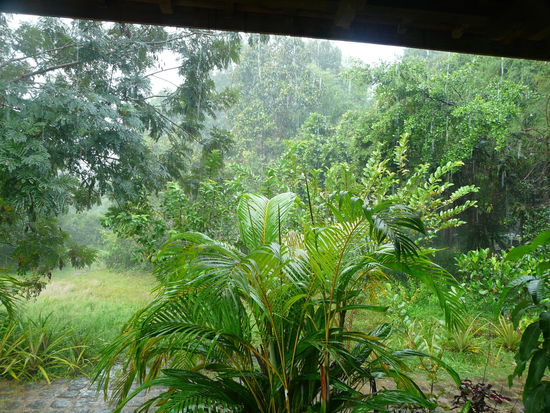 Regenpause auf dem Klo.....