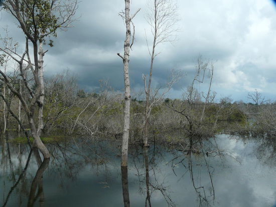 Auf dem Weg zum 4. Tempel des Tages: Neak Pean - und wie ihr seht, neues Ungemach droht....