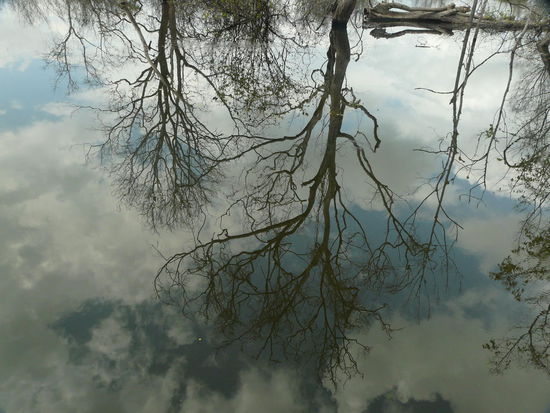 Alles steht auf dem Kopf....