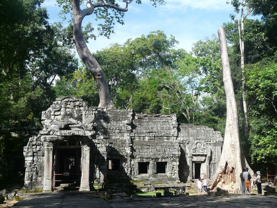 1. Tempel des Tages: Ta Prohm