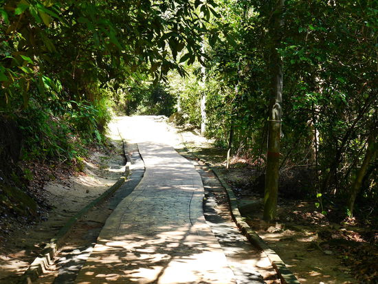 Sah vielversprechend aus....